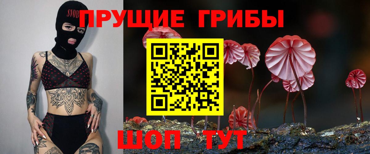 где продают наркотики  Вход с VPN  Кашира  Галлюциногенные грибы Magic Shrooms 
